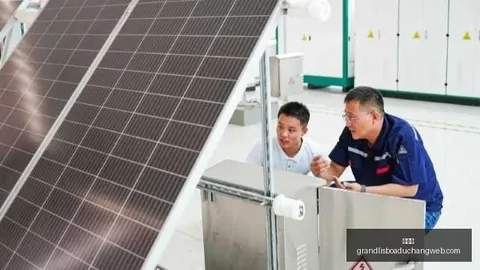 选手状态回升助战队夺冠，关键战果盘点